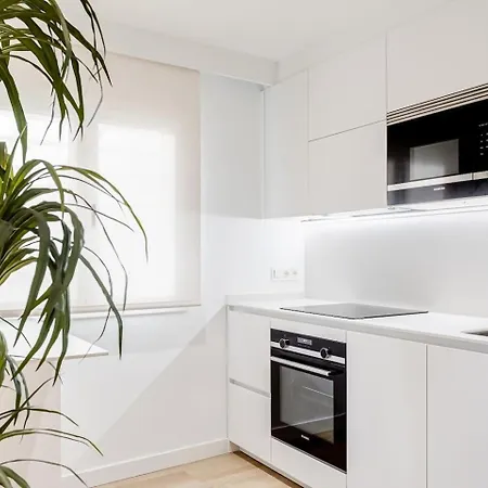 “the Palms” New, Ac, Terrace, Calm Near Old Town * San Sebastián
