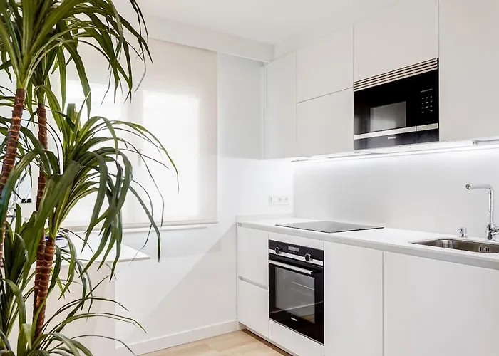 “the Palms” New, Ac, Terrace, Calm Near Old Town * San Sebastián